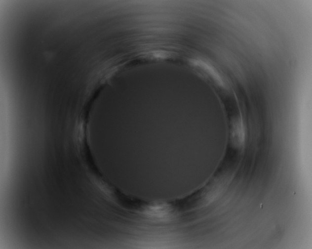 X0000092250410200709211105