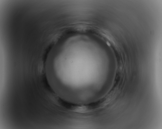 X0000092250411200709211105