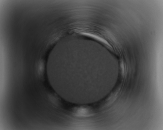 X0000092250412200709211105