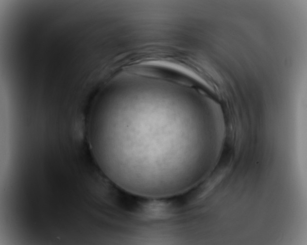 X0000092250413200709211105