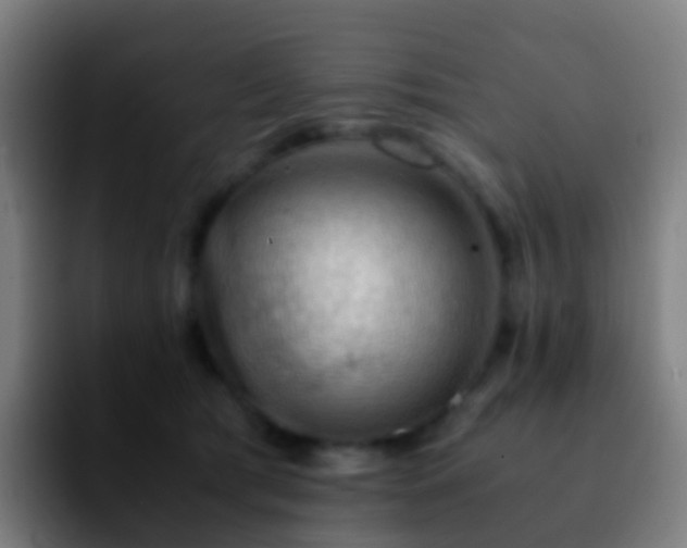 X0000092250417200709211105