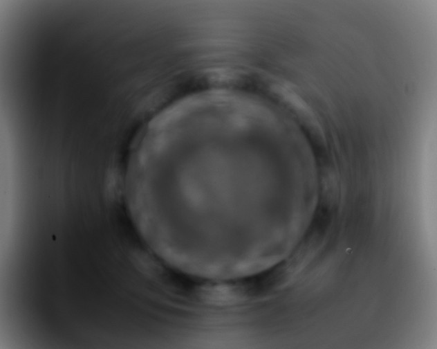 X0000092250419200709211105