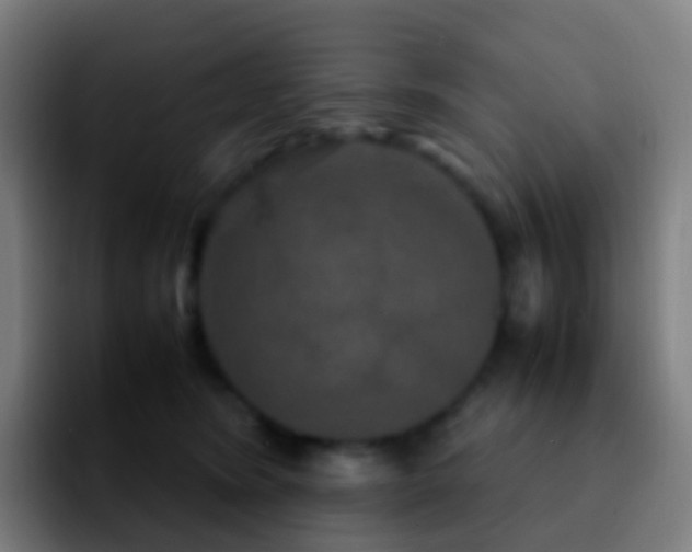 X0000092250420200709211105