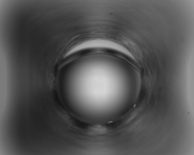 X0000092250421200709211105