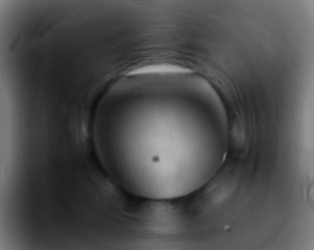 X0000092250424200709211105