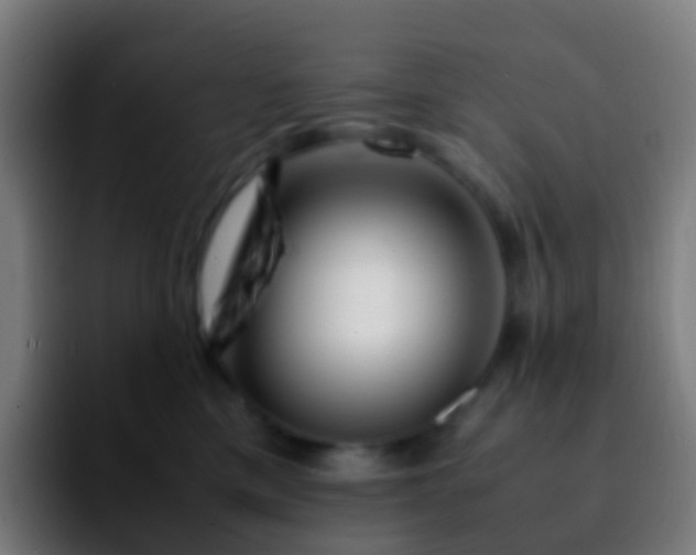 X0000092250425200709211105