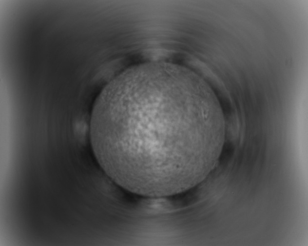 X0000092250427200709211105