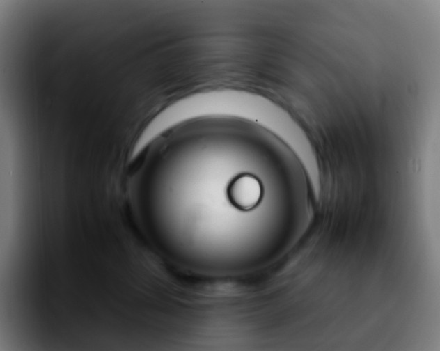 X0000092250428200709211105