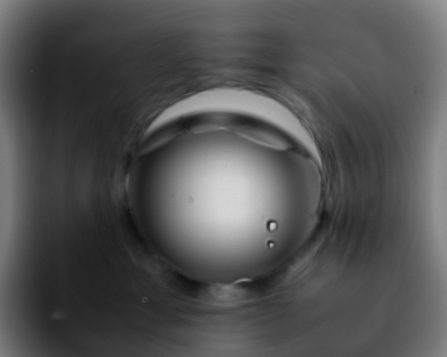 X0000092250429200709211105