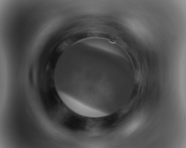 X0000092250431200709211105