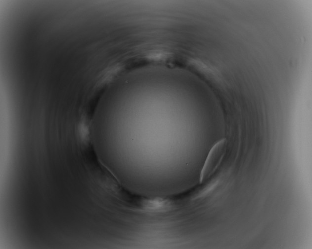 X0000092250432200709211104