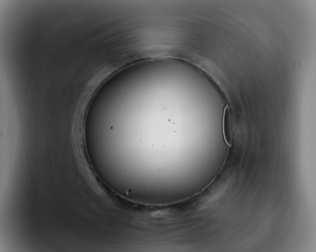 X0000092250433200709211104