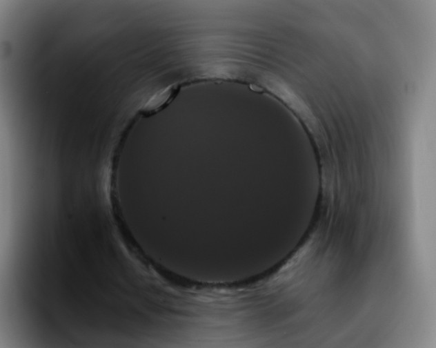 X0000092250434200709211104