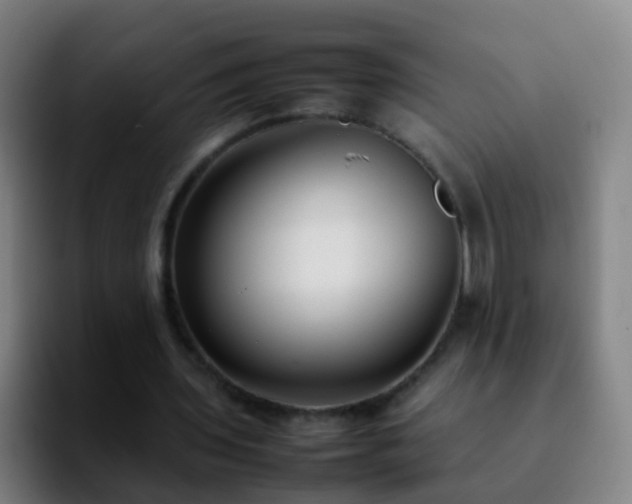 X0000092250435200709211104