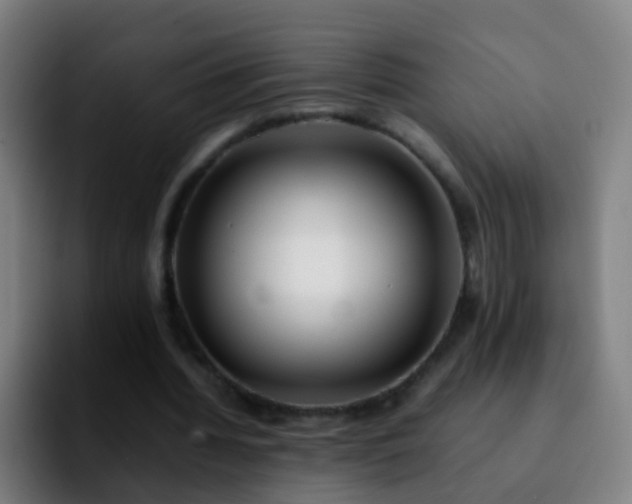 X0000092250436200709211104