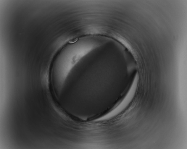 X0000092250438200709211104