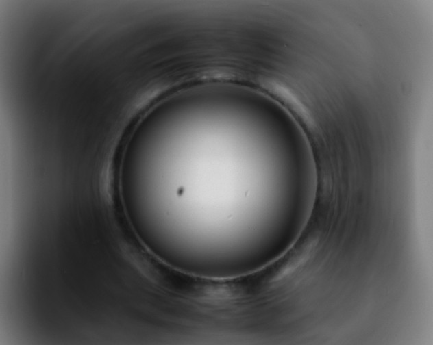 X0000092250439200709211104