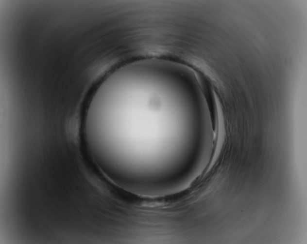 X0000092250440200709211104