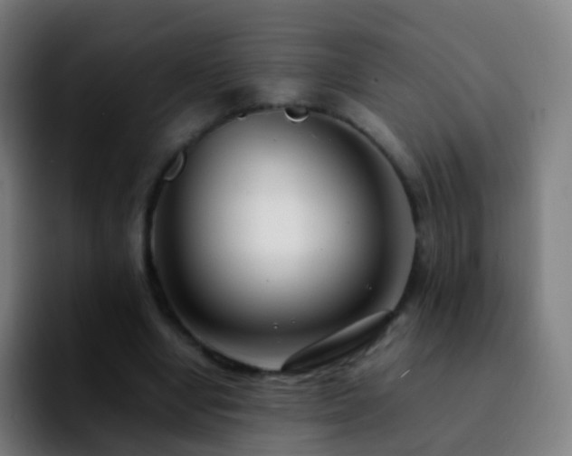 X0000092250442200709211104