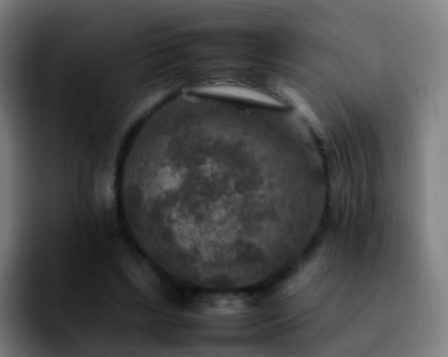 X0000092250443200709211104