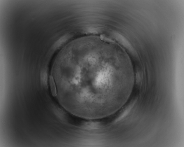 X0000092250444200709211104