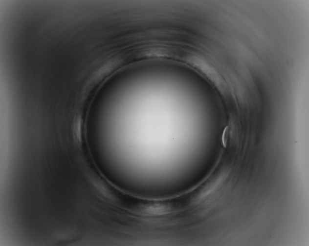 X0000092250445200709211104