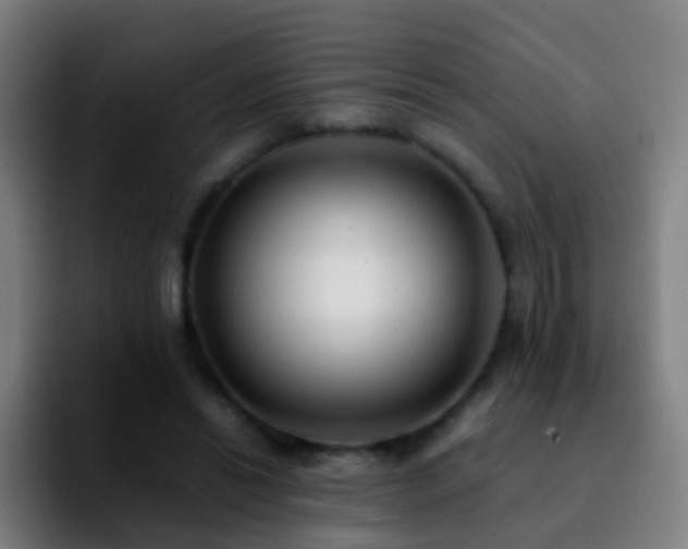 X0000092250446200709211104