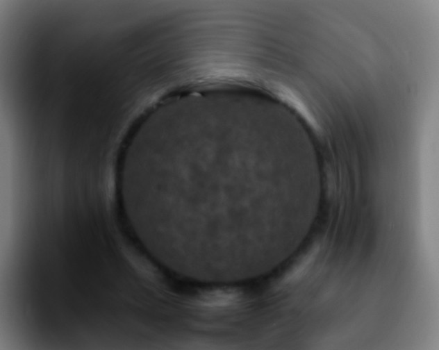 X0000092250447200709211104