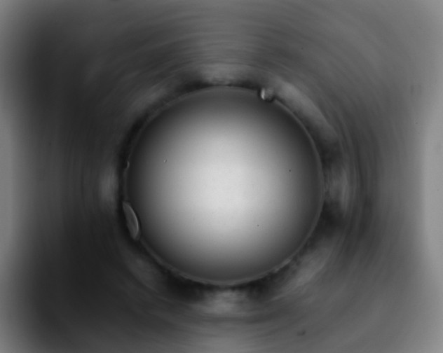 X0000092250448200709211104