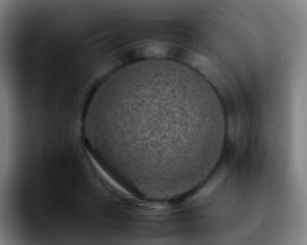 X0000092250449200709211104