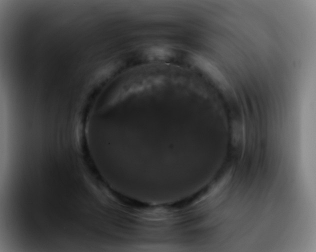 X0000092250451200709211104