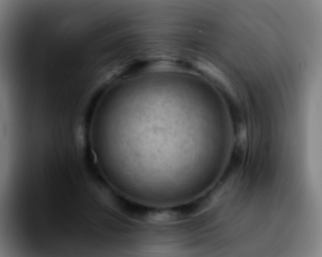 X0000092250452200709211104