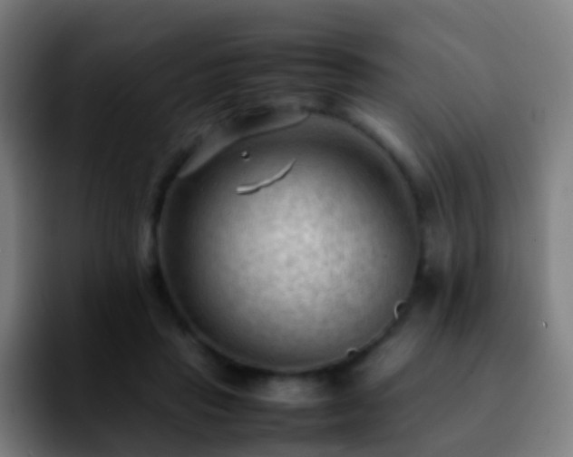 X0000092250453200709211104