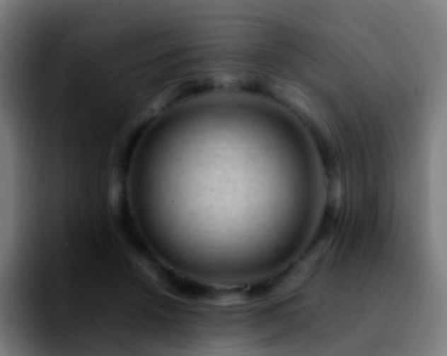 X0000092250456200709211104