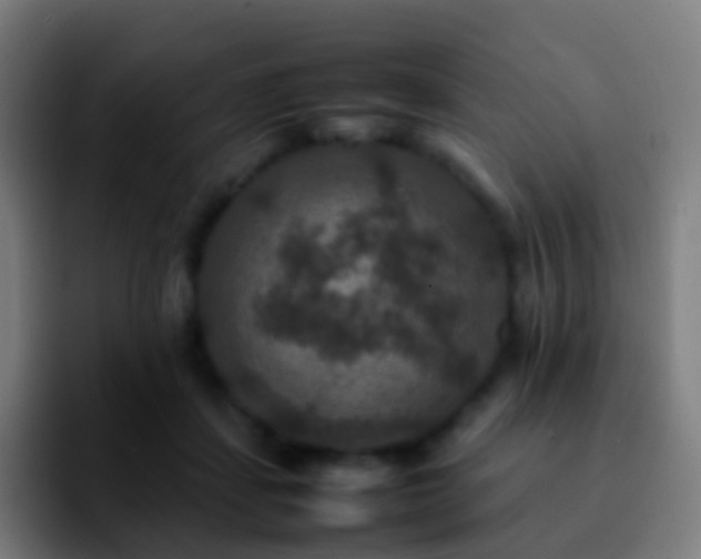 X0000092250459200709211104