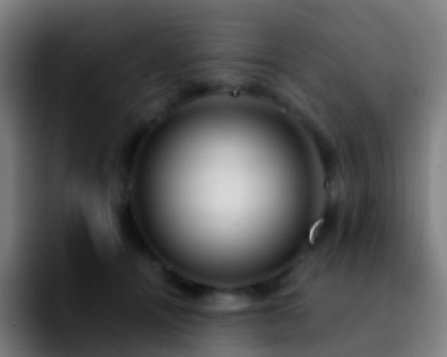 X0000092250464200709211104