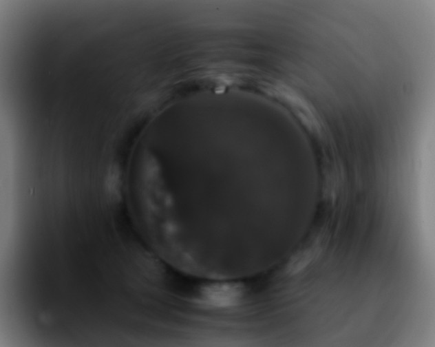 X0000092250465200709211104