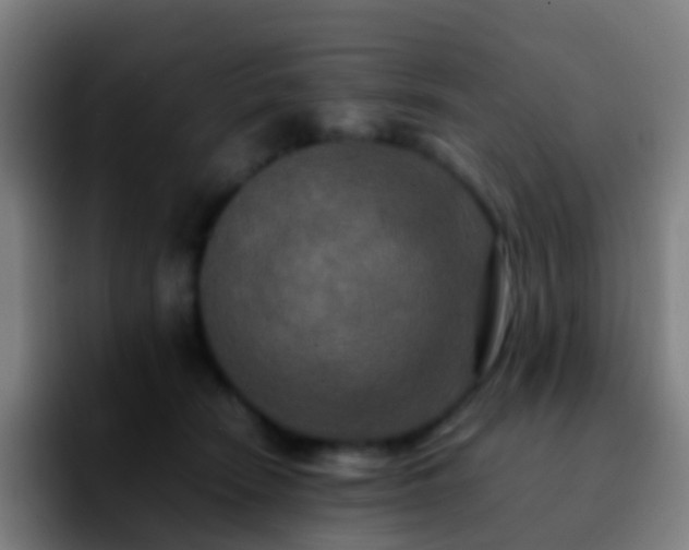 X0000092250466200709211104