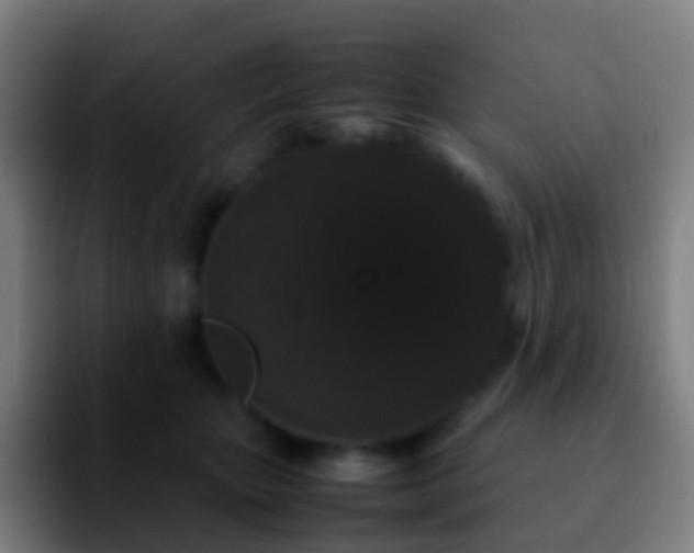 X0000092250467200709211104