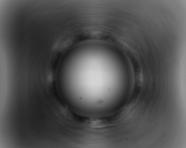 X0000092250472200709211104