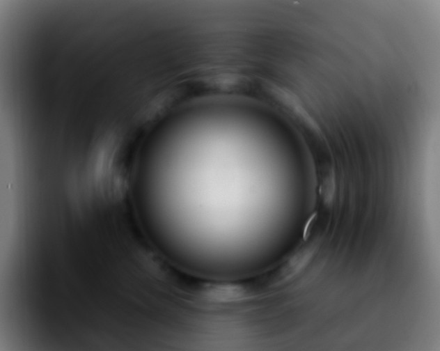 X0000092250476200709211104