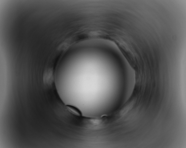 X0000092250478200709211104