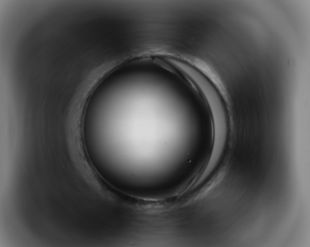 X0000092250481200709211104