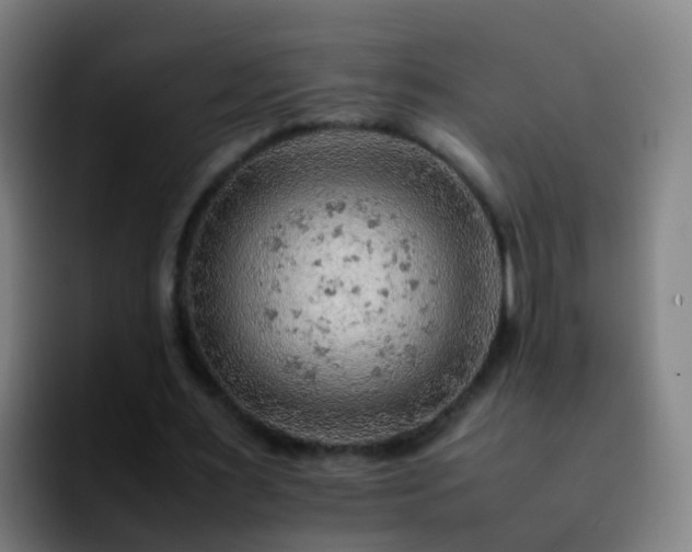 X0000092250483200709211104