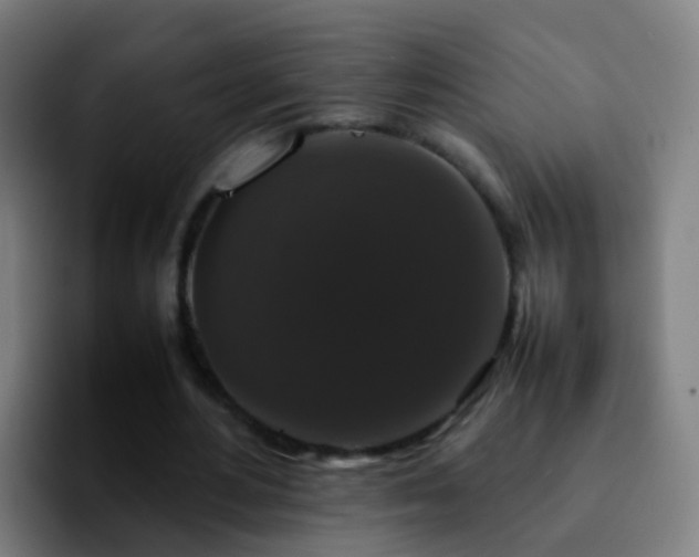 X0000092250484200709211104