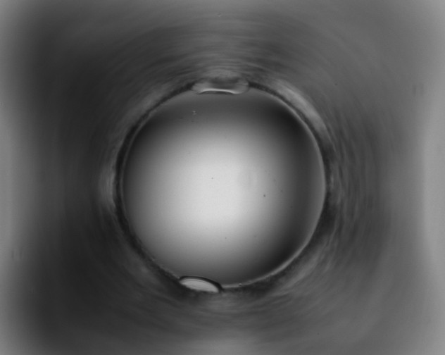 X0000092250485200709211104