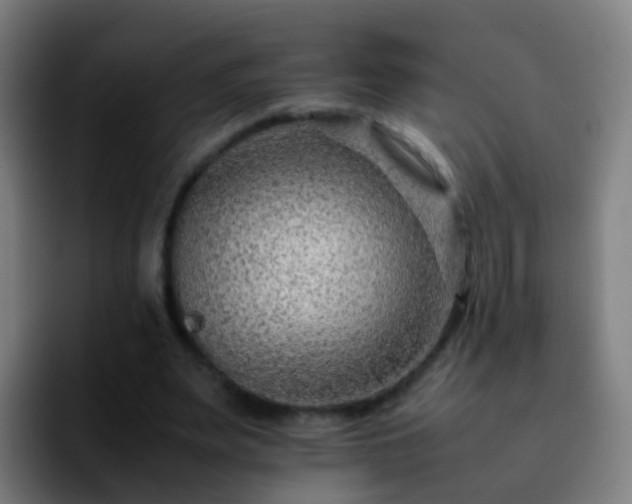 X0000092250487200709211104