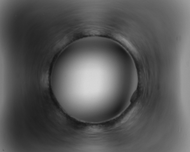 X0000092250489200709211104