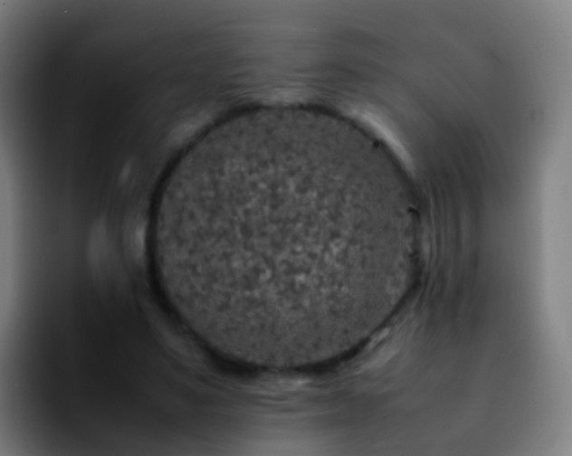 X0000092250491200709211104