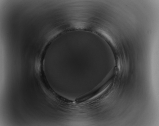 X0000092250492200709211104